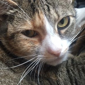 Meet your Posher, Savannah